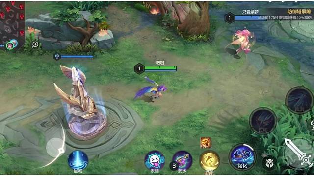 精卫的发育过程