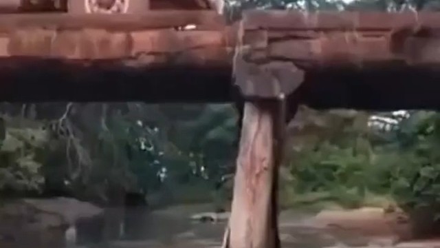 趁桥不注意就过了