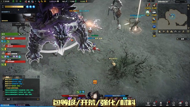 好大的一只鳄龟