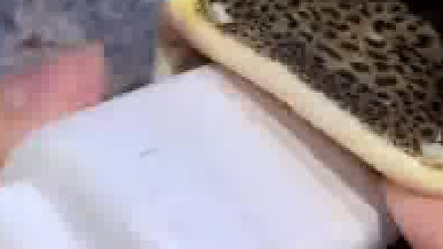 一条啥都吃的鱼，擦鱼缸时把磁吸擦给吃了