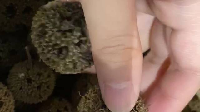 手抖