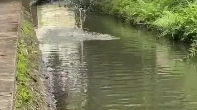 钓鱼人都懂这是在干嘛