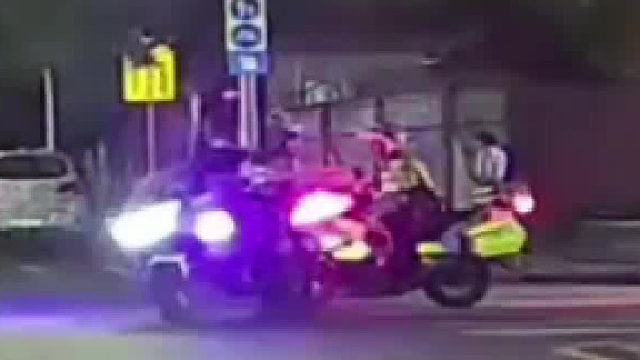 这下成局里显眼包了！