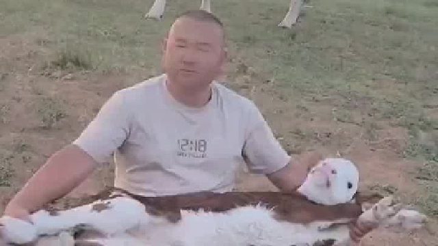 请注意看后面留的表情，真的很让人觉得搞笑。