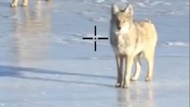 人家站的好好的，干嘛打人家