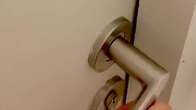 世上有这么漂亮的狐狸吗