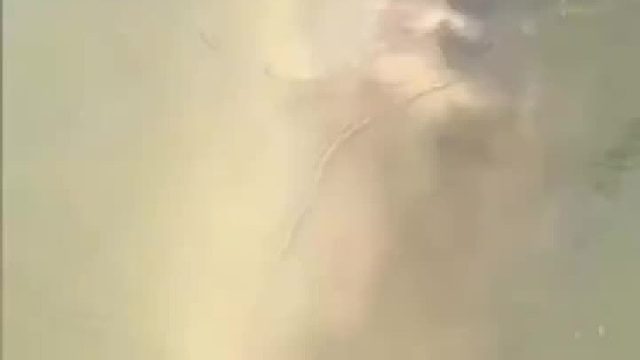 这种鱼钓不起！这鱼是真的大