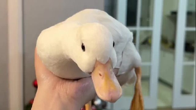 好好吃：今天你对我爱答不理 明天我让你高攀不起