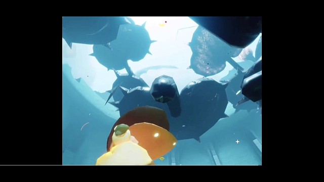 起猛了，看到一株10米高的大花