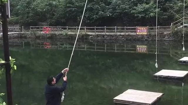 在一声声乖乖中迷失了方向