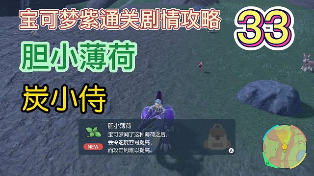 宝可梦朱紫攻略33：胆小薄荷，炭小侍