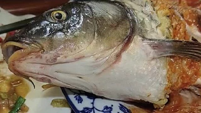 鱼：我觉得我还可以抢救一下