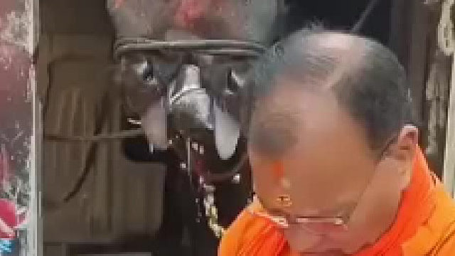 那边只要是奇形怪状的生物是什么