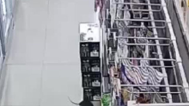 娘们是这能咋呼