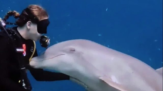 这才是人与海洋该有的相处方式，以后还能看到这些可爱的海洋生物吗？