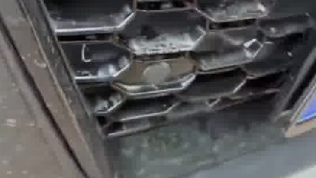 驾车行驶中突然窜出一只鸡，最后男子含泪吃了两大碗。网友：这鸡有点贵啊。