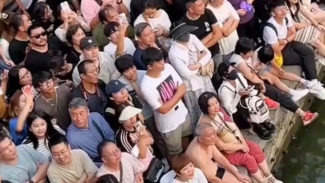 天津跳水大爷，带火天津旅游，狮子林桥围观游客人山人海。