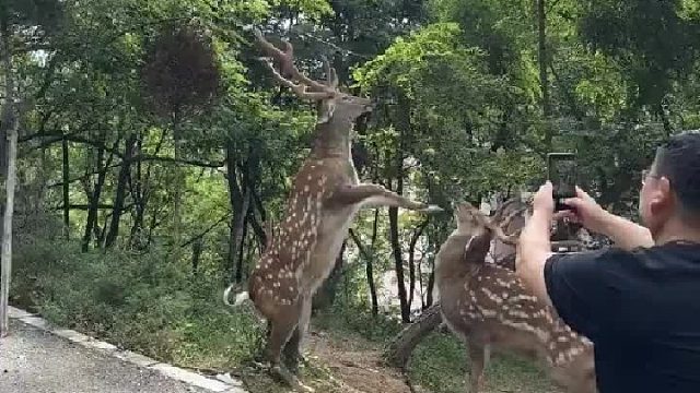 你们不要再打了 ​​​