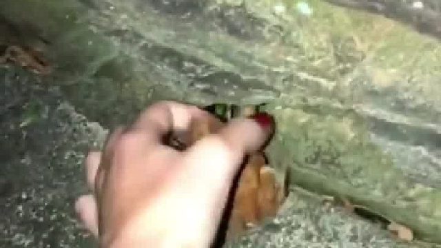 女子强行帮蛤蟆相亲