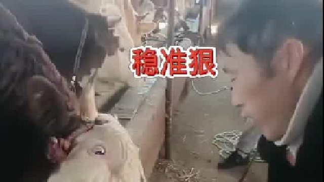 太残忍了，吓人