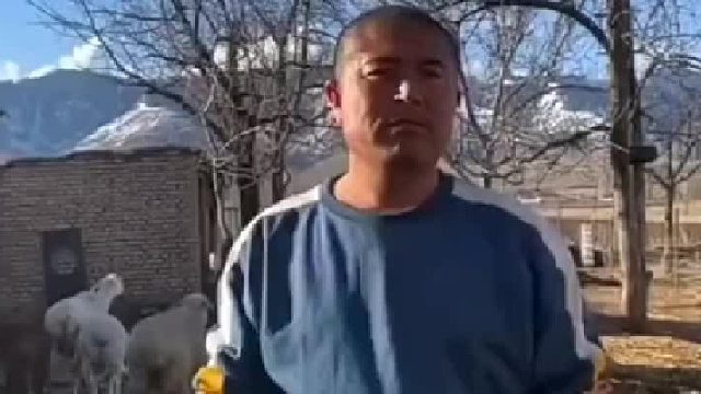 羊实在看不下去了。