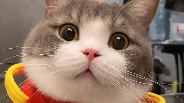 我上辈子一定是做了什么好事