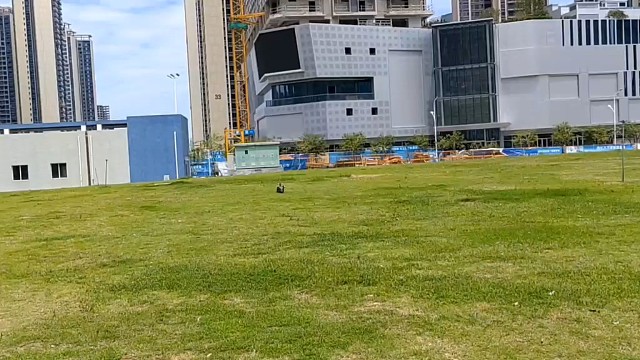 500级各种像真机