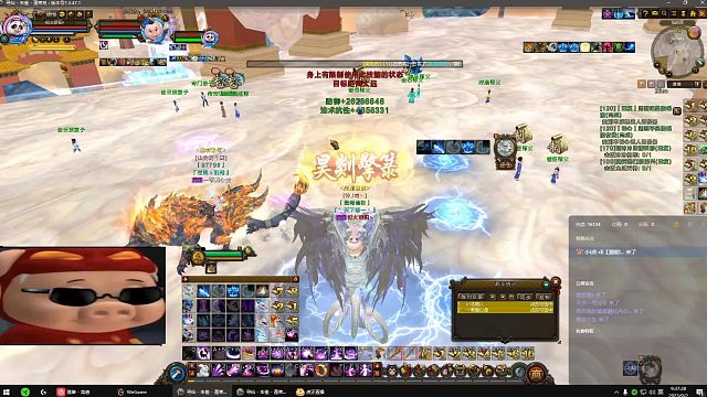 两只呆quan看直播偷小号都偷不死 呆里呆气的