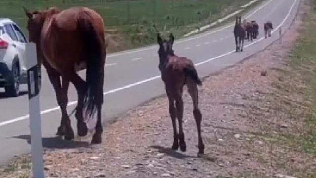 旅行博主拍下感人一幕