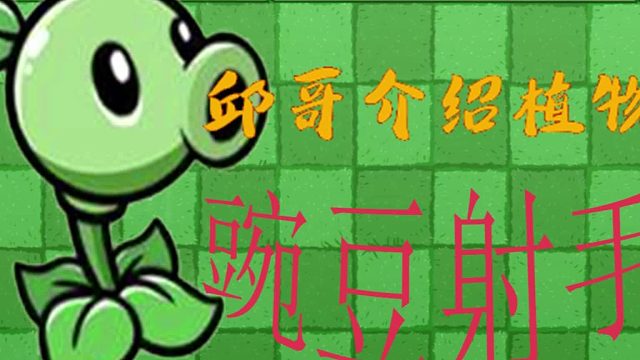 01邱哥介绍植物：植物大战僵尸之豌豆射手！