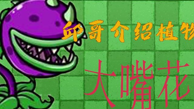 03邱哥介绍植物：植物大战僵尸之大嘴花！