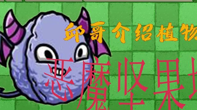 14邱哥介绍植物：植物大战僵尸之恶魔坚果墙！
