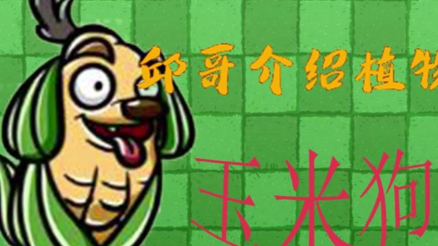 15邱哥介绍植物：植物大战僵尸之玉米狗！
