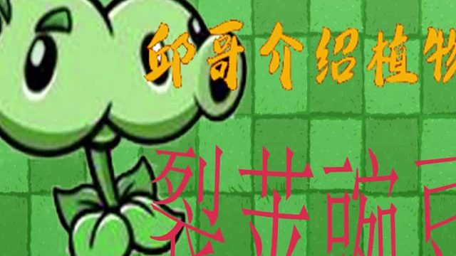 19邱哥介绍植物：植物大战僵尸之裂荚豌豆！