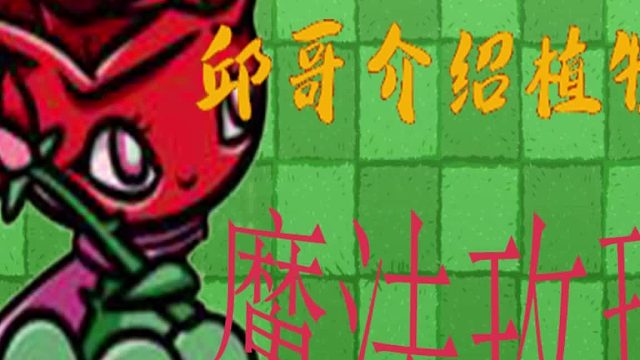 20邱哥介绍植物：植物大战僵尸之魔法玫瑰！