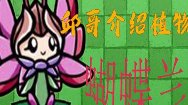 28邱哥介绍植物：植物大战僵尸之蝴蝶兰！