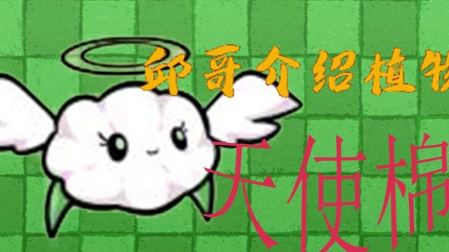 29邱哥介绍植物：植物大战僵尸之天使棉！