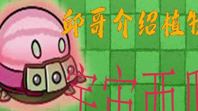34邱哥介绍植物：植物大战僵尸之宇宙西瓜！
