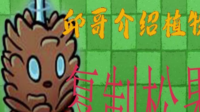 35邱哥介绍植物：植物大战僵尸之复制松果！