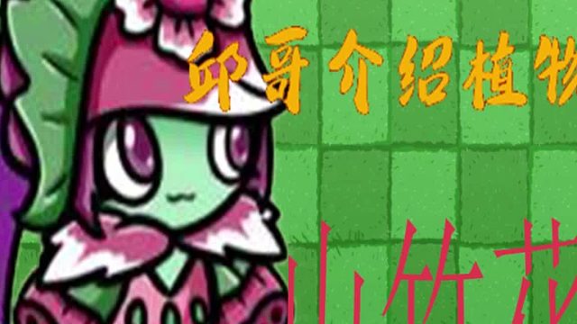 36邱哥介绍植物：植物大战僵尸之山竹花！
