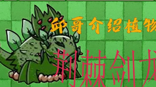 39邱哥介绍植物：植物大战僵尸之荆棘剑龙！