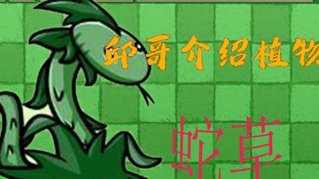 40邱哥介绍植物：植物大战僵尸之蛇草！