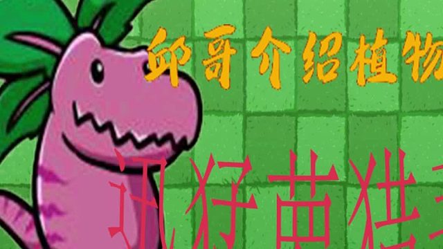42邱哥介绍植物：植物大战僵尸之迅猛萝猎手！