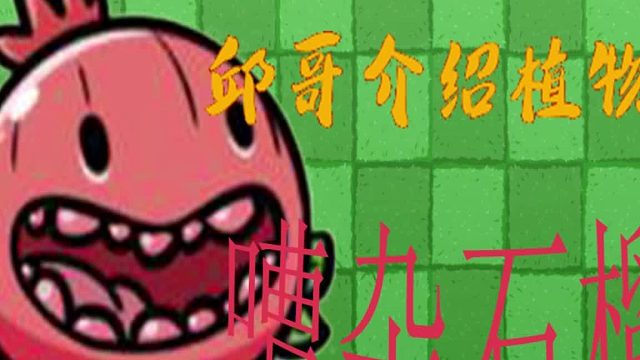43邱哥介绍植物：植物大战僵尸之嘈杂石榴！