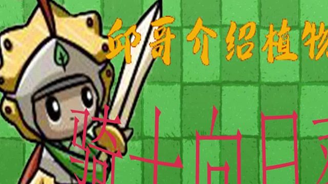 44邱哥介绍植物：植物大战僵尸之骑士向日葵！