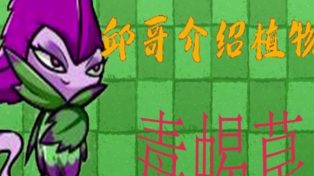 47邱哥介绍植物：植物大战僵尸之毒蝎草！