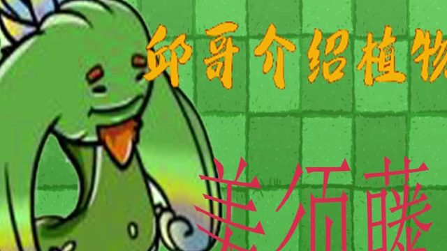 48邱哥介绍植物：植物大战僵尸之美须藤！