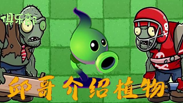 003邱哥介绍植物：植物大战僵尸之暗影豌豆！