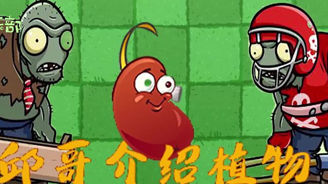 004邱哥介绍植物：植物大战僵尸之巴豆！