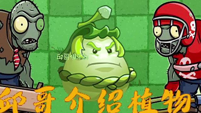006邱哥介绍植物：植物大战僵尸之白瓜相扑手！